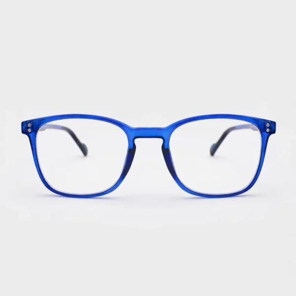 Gafas de Lectura Blue Light nvx10117 C3