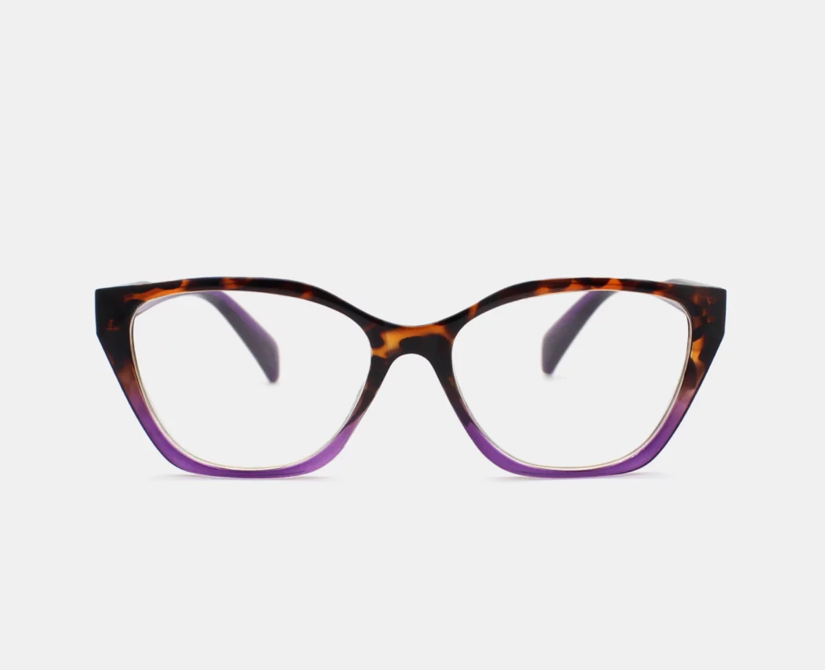 Gafas de Lectura Blue Light modernas NVX10110 C3 1
