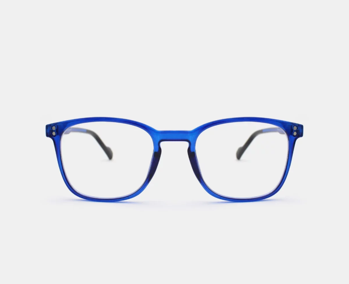 aGafas de Lectura Blue Light para anti luz azul NVX10117 C3 1