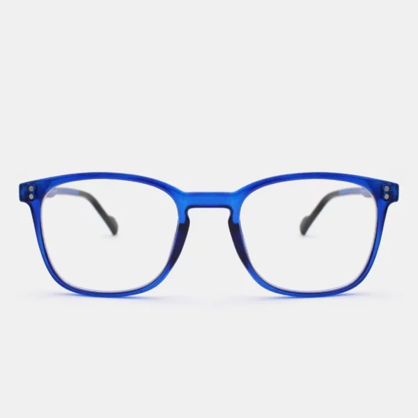aGafas de Lectura Blue Light para anti luz azul NVX10117 C3 1