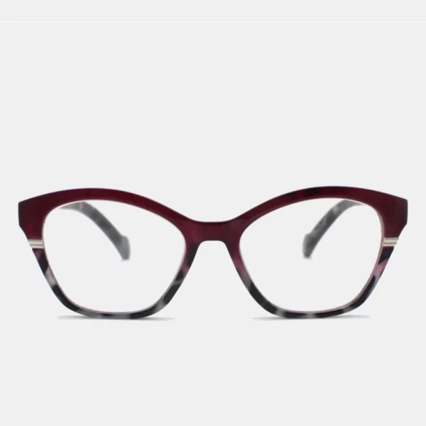 Gafas de Lectura modernas NVX10112 C1 1